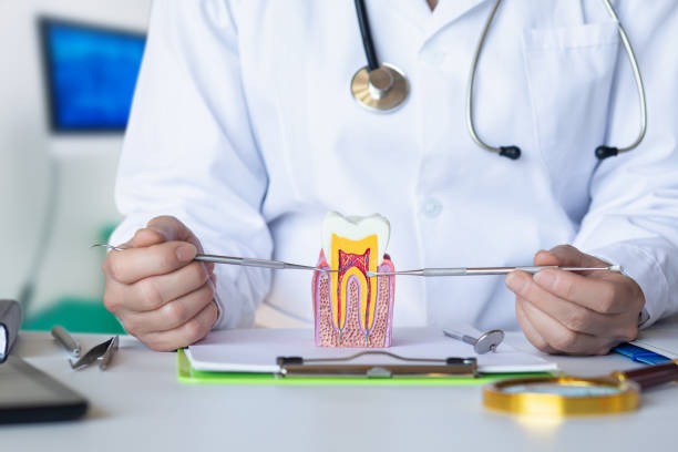 Best Broken Tooth Emergency  in Elverson, PA